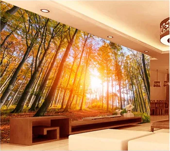 Običaj zidne 3d desktop slika осеннее sunce šume dnevni boravak dekoracija slikarstvo 3d zidne zidne tapete za zidove 3 d