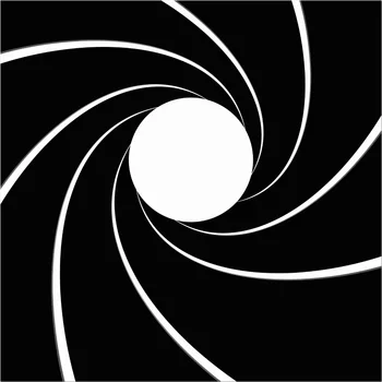 8x8FT Bond crno bijela spirala pištolj prtljažnik prilagođene foto-studio background-pozadina vinil 240см x 240см