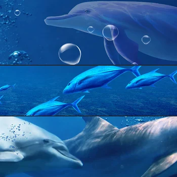 Običaj samoljepljive zidne tapete za kupaonicu 3D Delfin podvodni svijet pozadina Dekor PVC vodootporan vinil 3D naljepnice