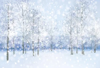 Priroda Snijeg Boke Slika Pozadina Zamrznute Zimska Zemlja Čuda Božić Foto Pozadine Novorođenog Djeteta Portret Studio Štand