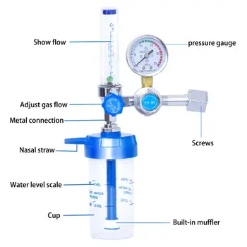 Mjerač protoka kisika kisik manometar mjerač protoka regulator tlaka kisika 0-10L/min G5 / 8 za seniore Pr